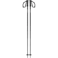 Salomon Bastoncini Polar