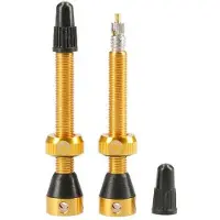 Tubolight Valvole Tubeless