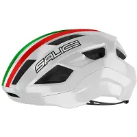 Salice Casco Vento