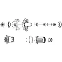 Zipp Tappo Asse Per Mozzo Posteriore Cognition Campagnolo N3w