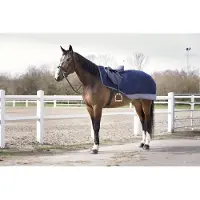 Equithème «TYREX 600 D» Coperta per i reni blu marino/grigio.155
