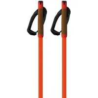 Fischer Bastoncini Storm Gtx L