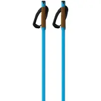 Fischer Bastoncini Storm Gtx L