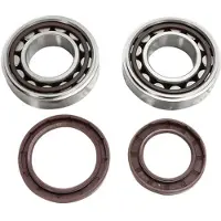 Hotrods Kit Di Cuscinetti E Paraoli Per Albero Motore Ktm 2016-2024 250 Sx-f Gasgas 2021-2024 Mc 250f