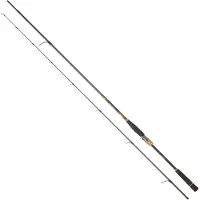 Daiwa Canna Spinning Morethan Branzino Expert Ags