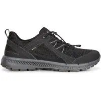 Ecco Terracruise II GTX Scarpe sportive Uomo (40, nero)