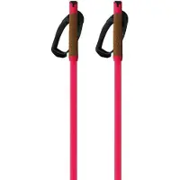 Fischer Bastoncini Storm Gtx M