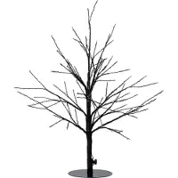 Coen Bakker Prodotti da giardino
