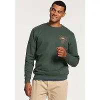 Shiwi Men Triangle Sweater Cilantro Green Taglia: XXL | Maglioni a maglia Outlet | Uomo | Verde