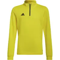 Adidas Felpa Entrada 22 Training