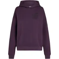 O'Neill The Future Surf Society Hoodie Aubergine Taglia: S | Felpe con cappuccio Outlet | Donna
