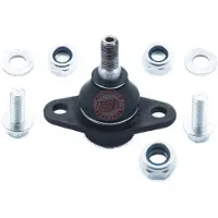 Master Sport MS 25383-SET-MS Giunto di supporto/guida esterno, inferiore, asse anteriore per MINI (R50, R53)