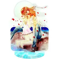 Uchiwa Figura Acrilica Di Mermaid Melody: Pichi Pichi Pitch Di Kaito E Luchia 21 Cm