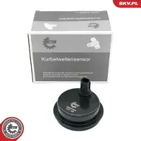 ESEN SKV Sensore , velocità della ruota x
