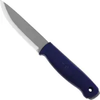 Condor Lipotes