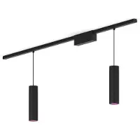 Philips Hue Perifo Kit Base Per Soffitto Dritto (2 Lampade A Sospensione)