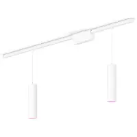 Philips Hue Perifo Kit Base Per Soffitto Dritto (2 Lampade A Sospensione)
