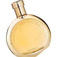Hermès Paris L'Ambre Des Merveilles Unisex 50 ml — Eau de Parfum