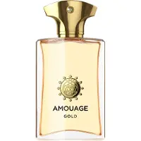 Amouage Gold Uomo Eau de Parfum 100 ml
