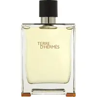 Hermès Paris Hermès Terre d'Hermès 75ml — Extrait de Parfum Uomo