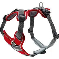 Hunter Harness Divo Imbracatura per cani (Hals 19-32 cm, Bauch 34-47 cm - Breite 1,5 cm, rosso/grigio)