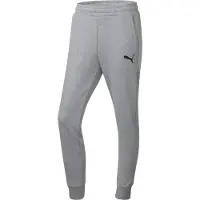 Puma Pantaloni sportivi 'Team Goal' grigio sfumato / bianco