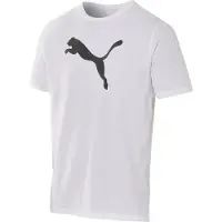 Puma Maglia funzionale 'teamRISE' grigio / bianco