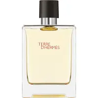 Hermès Paris Eau De Toilette Terre Pour Homme 100ml