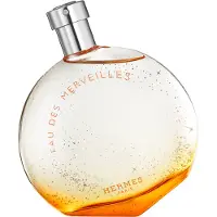 Hermès Paris Eau des Merveilles EDT 100 ml — Eau de Toilette