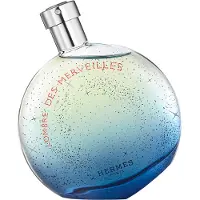 Hermès Paris Hermès L'Ombre des Merveilles 100 ml Eau de Parfum Donna