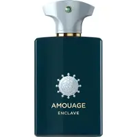 Amouage Enclave Eau de Parfum Unisex 100 ml
