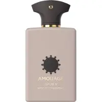 Amouage Opus V Woods Symphony Eau de Parfum Unisex 100 ml