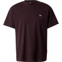 Iriedaily Mini Flag Relaxed Tee T-shirt Uomo (S, marrone/rosso)