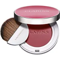 Clarins Joli 04 Cheeky Purple 5 g — Blush
