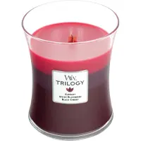 Woodwick Trilogy Sun-Ripened Bacche 275 g — Candela Profumata in Vaso