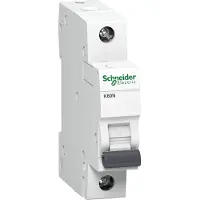 Schneider ELECTRIC Interruttore miniaturizzato A9K01132, B, 32A