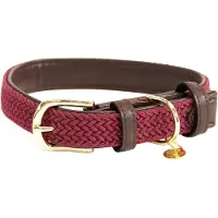 Kentucky Collare Per Cani Nylon Plaited