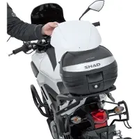 Shad Custodia Bianca Sh29 Per Top Case