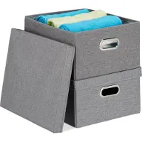 Relaxdays 10031603_111 2 Aufbewahrungsbox 25,0 l grau 34,5 x 42,0 x 20,5 cm