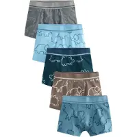 Next Pantaloncini intimi blu chiaro / blu scuro / marrone / grigio