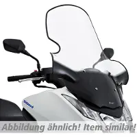 Ermax Parabrezza Scooter BURGMAN 400 A. 06- ABE