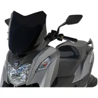 Ermax Parabrezza Sport JOYMAX Z 300 19-21
