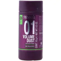 Salerm Cosmetics 01 Volume Dust 10 g Cipria Opacizzante