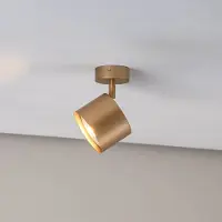 Argon Faretto da soffitto Chloe orientabile 1 luce, oro