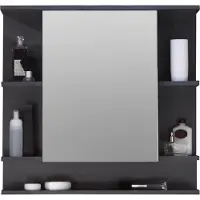 Trendteam mobile specchio bagno Tetis grafite decor/grafite 72 x 76 x 20 cm