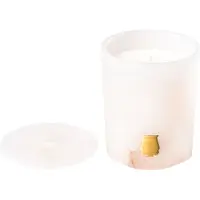 Trudon Abd el Kader 270 g — Candela in Alabastro