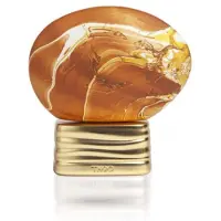 The House of Oud Hidden Shades - EDP - Volume: 75 ml