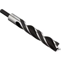 Bosch Accesorios Punta Da Trapano Per Legno 20x140x200 Mm