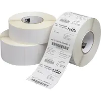 Zebra Etichetta 3006255 (Z-Perform 1000D) - Nero su bianco (76 mm x 152 mm) 6 rotoli