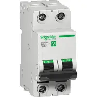 Schneider Electric Multi 9 Interruttore LS OEM C60SP a 2 poli, 3 A, caratteristica C, 10 kA, 480Y/277 V, UL1077, M9F22203